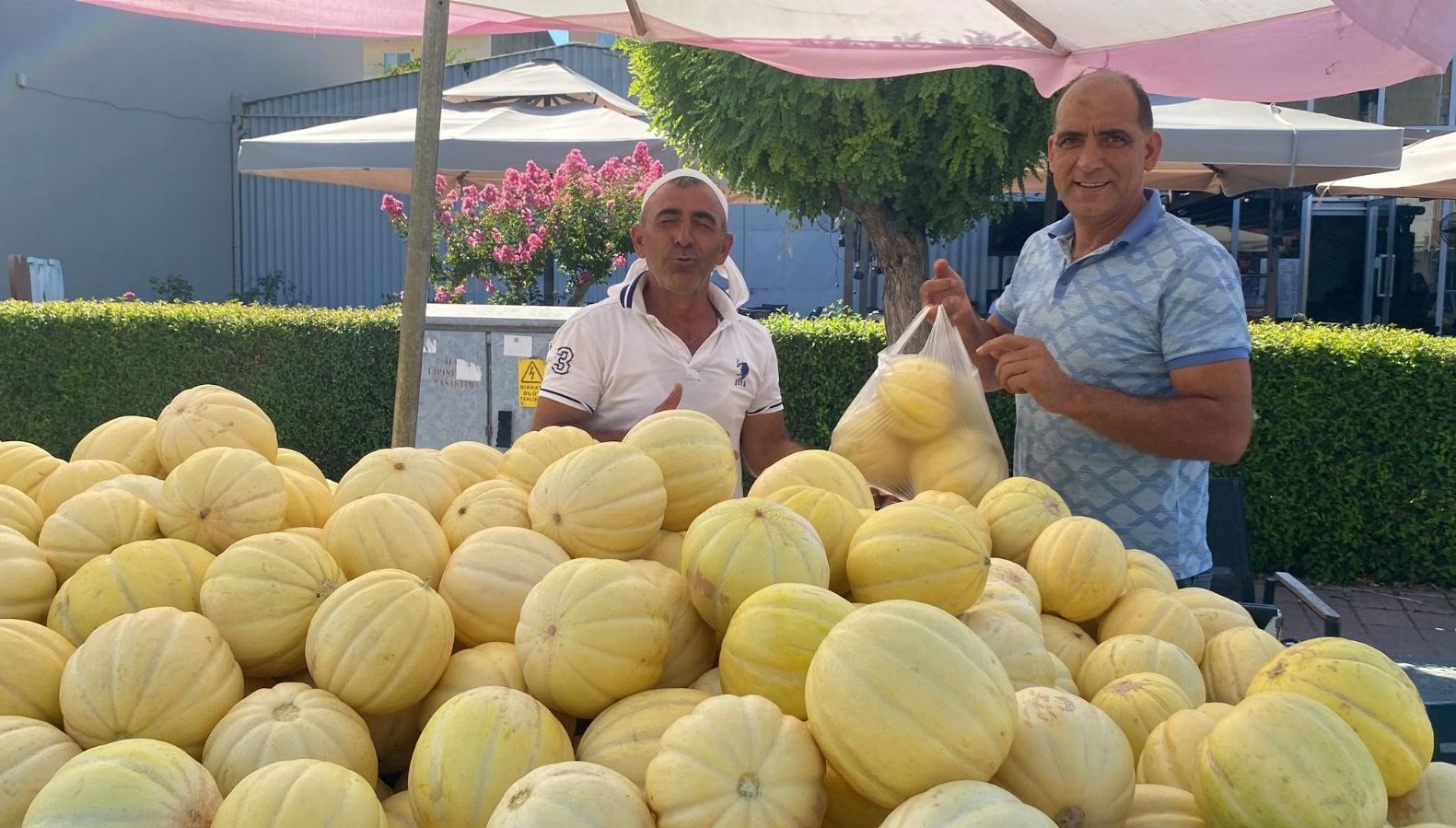 Doğal hücre yenileyici