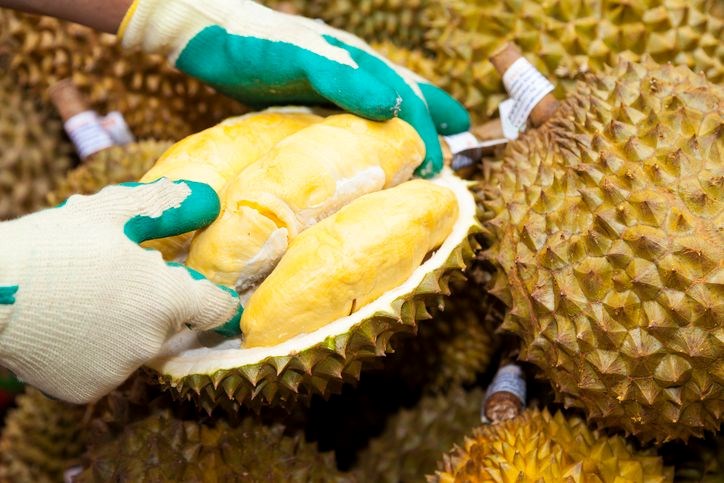 Durian Meyvesi: Tropikal Bir Lezzet