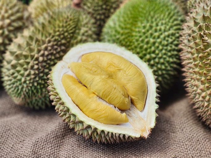 Durian Meyvesi: Tropikal Lezzetin Faydaları ve Kısıtlamaları