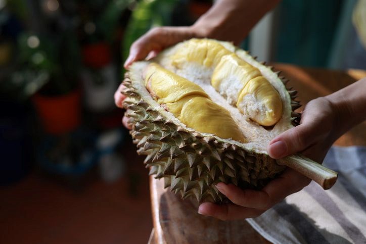 Durian'ın Faydaları