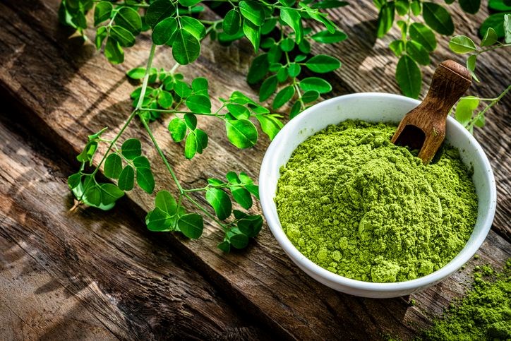 Moringa Bitkisi ve Sağlığa Faydaları