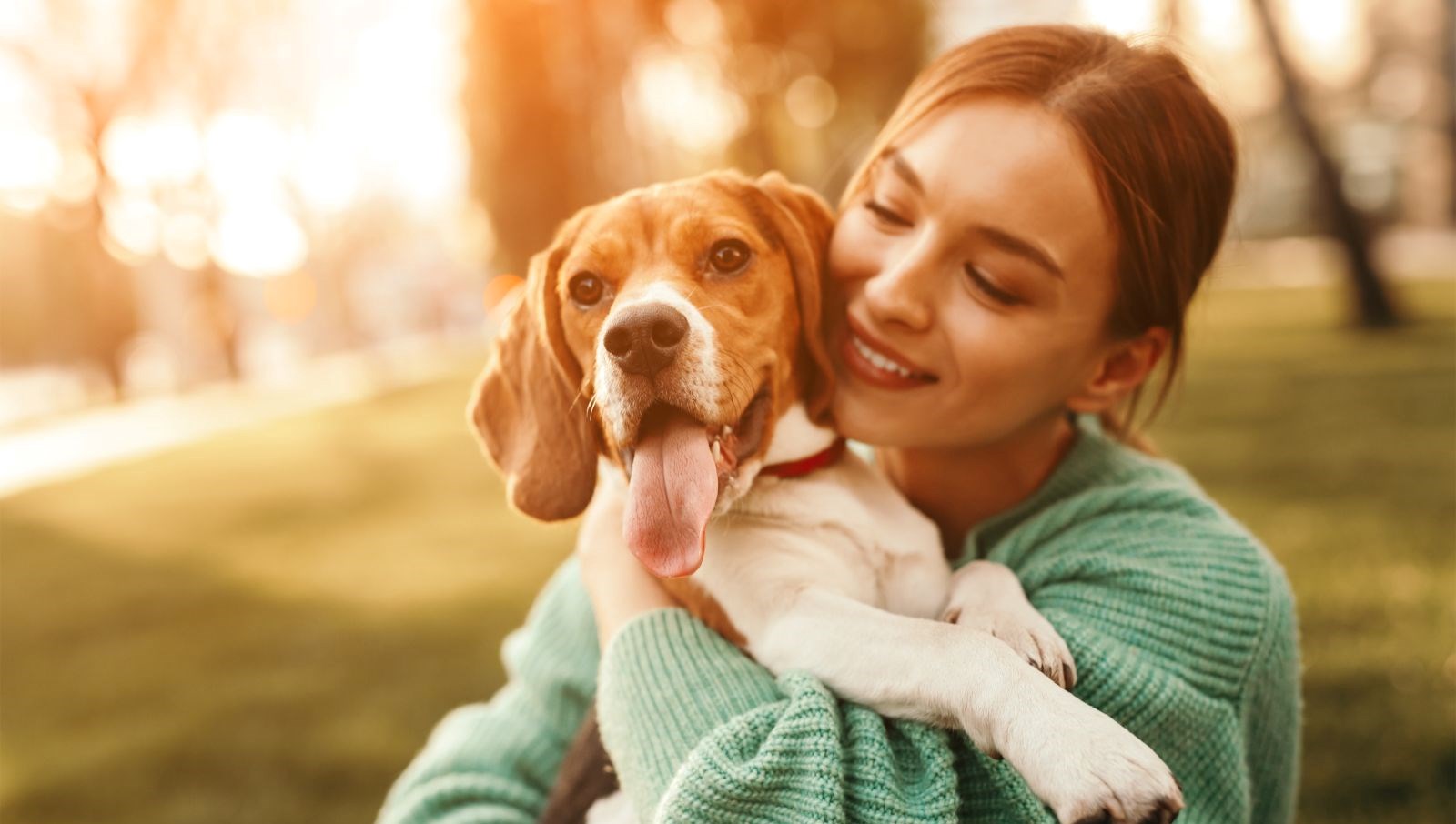 İnsan ve köpek göz göze gelince beyinleri senkronize oluyor