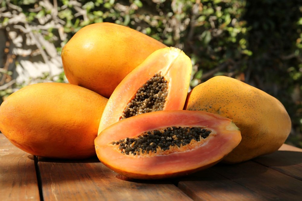 Aç Karnına Papaya Tüketmenin Faydaları