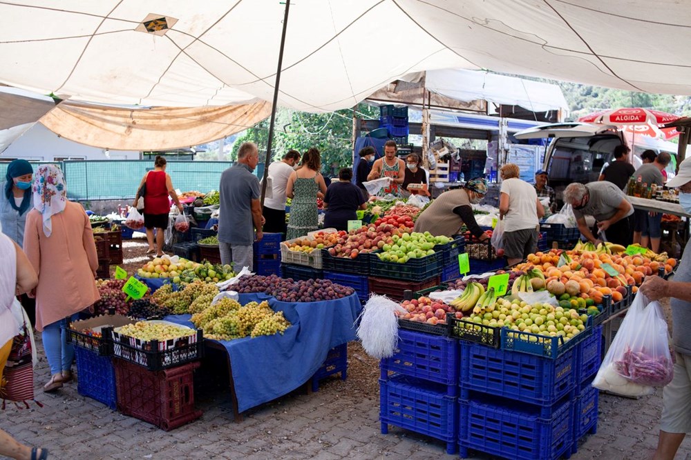 Kansere Karşı Koruyucu Özellikler