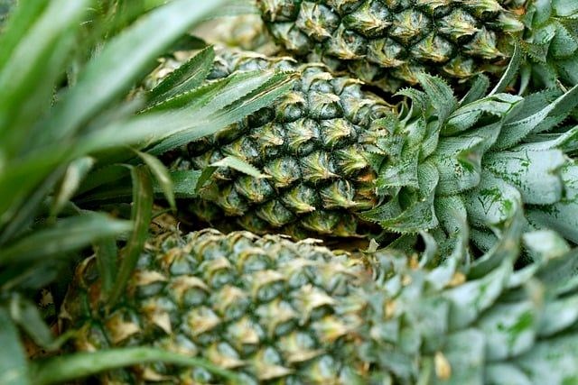 Ananas Sirkesi: Faydaları ve Zayıflama Sürecindeki Rolü