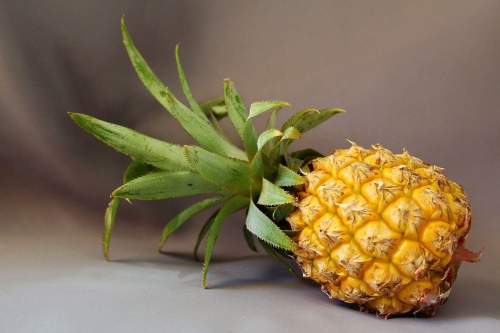 Ananas Sirkesi: Faydaları ve Zayıflama Sürecindeki Rolü