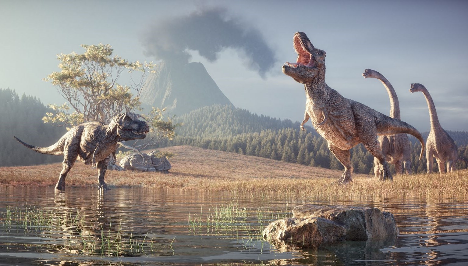 Dinozorların şaşırtıcı evrimi ortaya çıktı