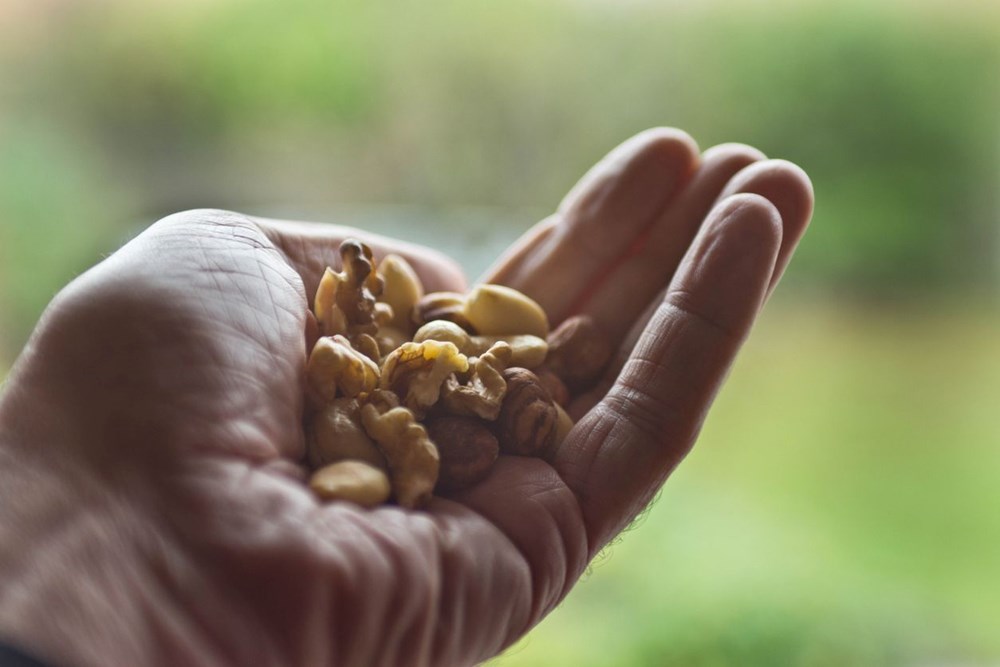 Kemik Erimesi ve Osteoporoz: Sağlıklı Beslenme ile Koruma Yöntemleri